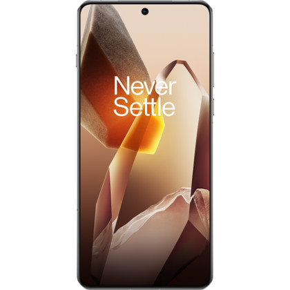 OnePlus 13