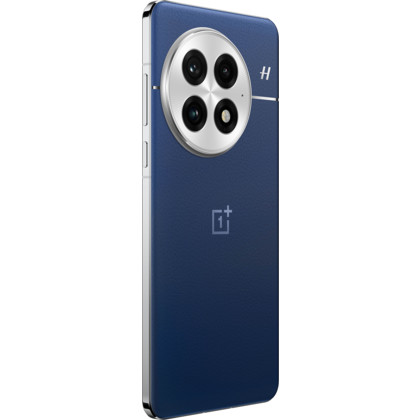 OnePlus 13