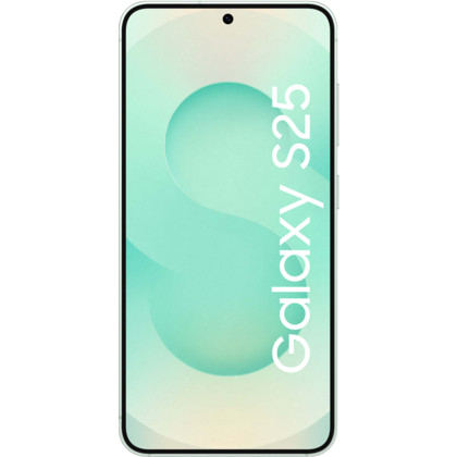 Samsung Galaxy S25