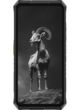 Beliebtes Handy Ulefone Armor 28 Pro