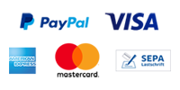 Logo Paypal