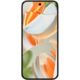 Google Pixel 9 Pro porcelain Galerie