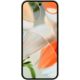 Google Pixel 9 porcelain Galerie