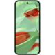 Google Pixel 9 wintergreen Galerie