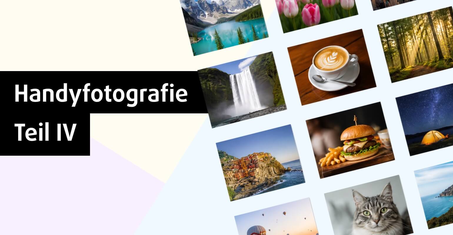 Fotos organisieren, bearbeiten und teilen