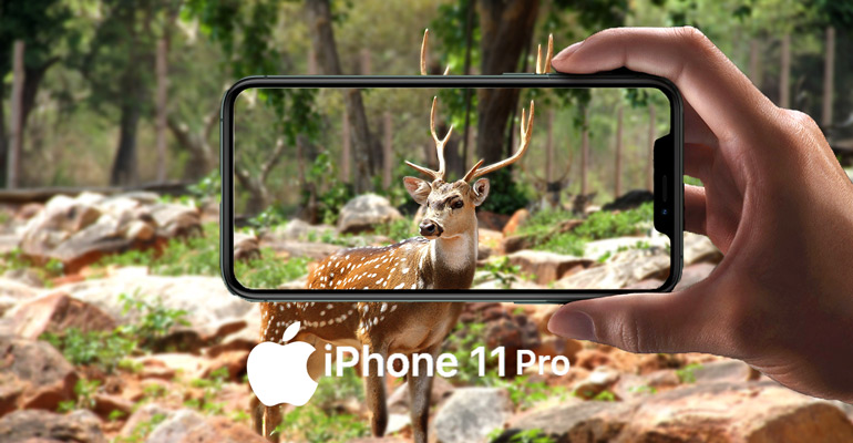 iPhone 11 Pro – das ultimative iPhone