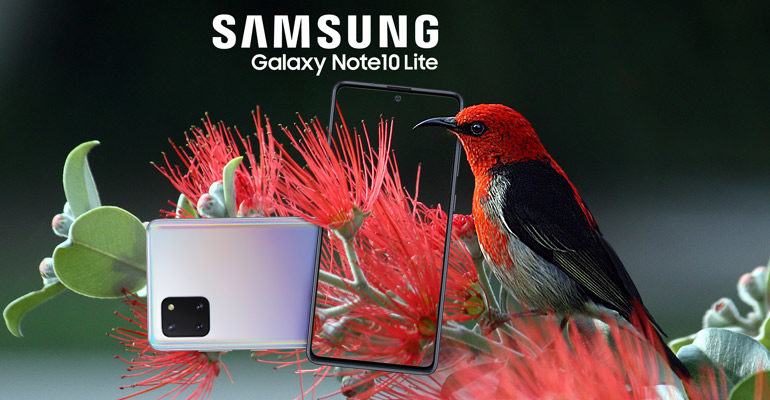 Samsung Galaxy Note 10 Lite – Lite-Version im Großformat