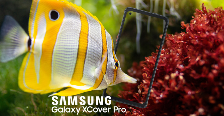 Samsung Galaxy Xcover Pro –  vereint Eleganz und Beständigkeit